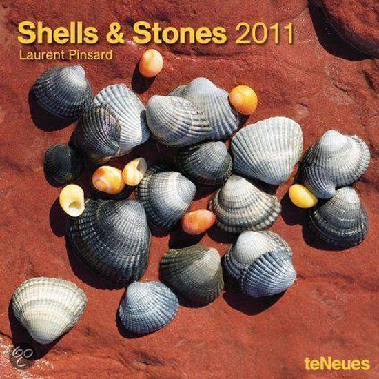 2011 Shells & Stones Grid Calendar