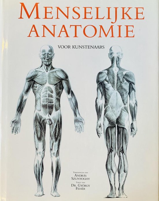 Menselijke anatomie voor kunstenaars