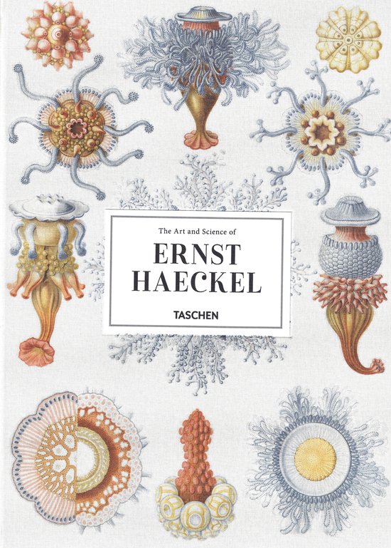 The Art and Science of Ernst Haeckel