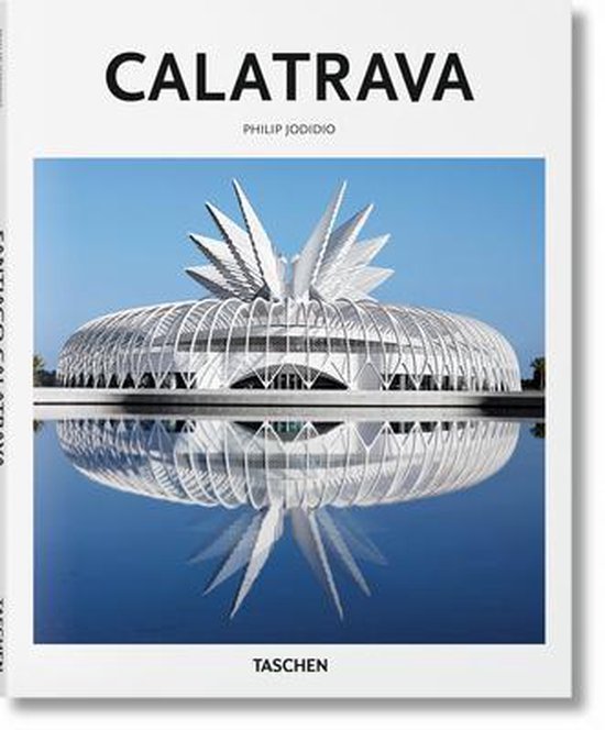 Basic Art- Calatrava