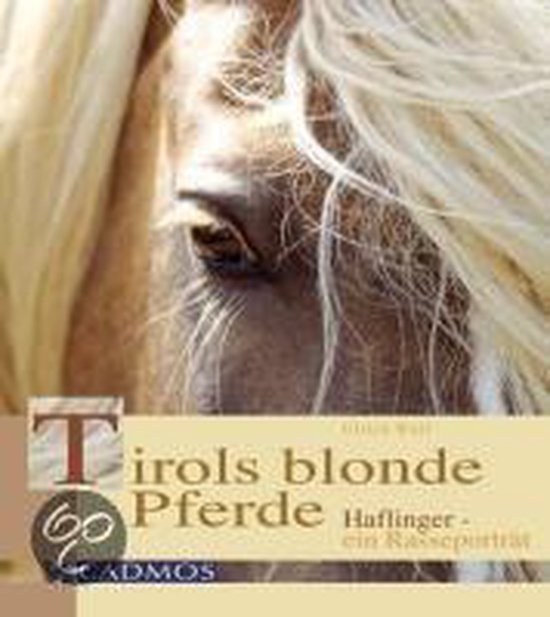 Tirols blonde Pferde