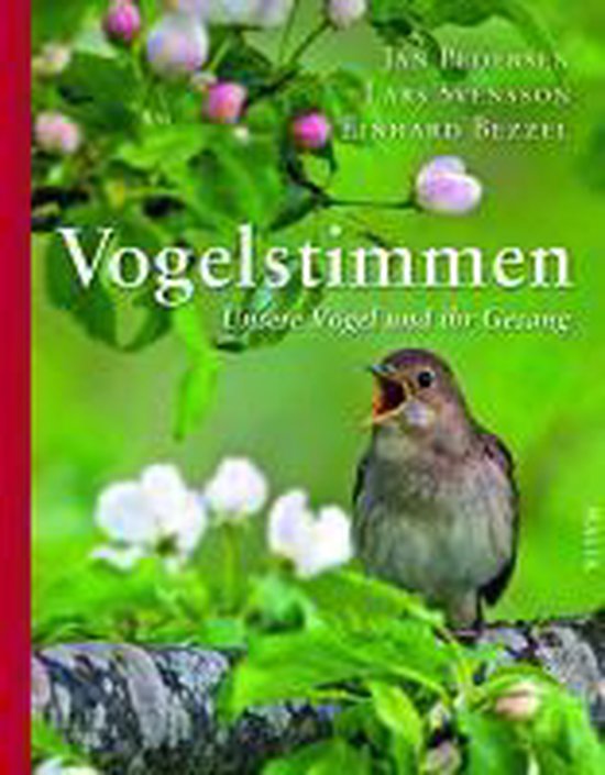 Vogelstimmen