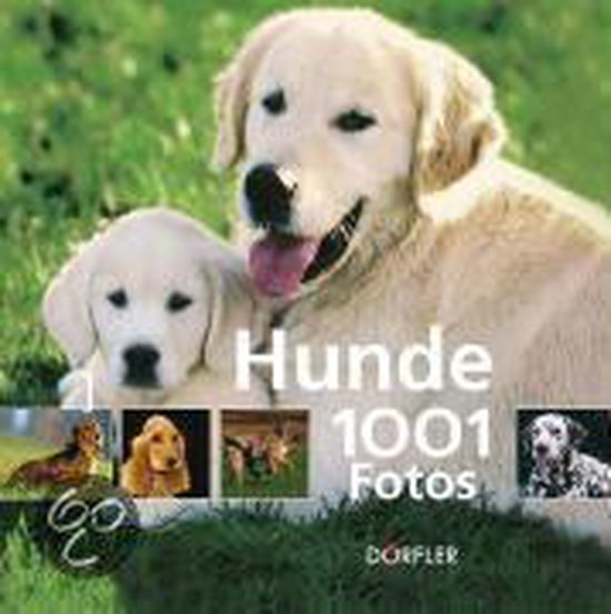 Hunde - 1001 Fotos