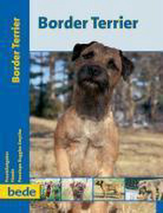 PraxisRatgeber Border Terrier