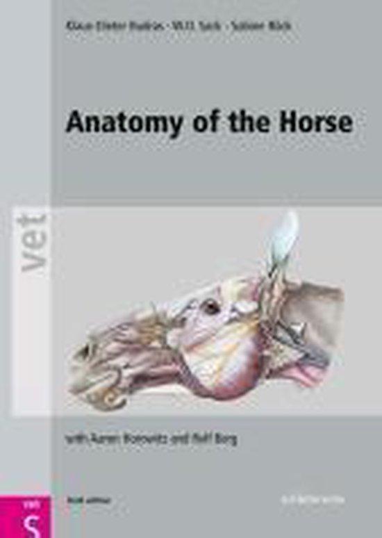 Anatomy Of The Horse