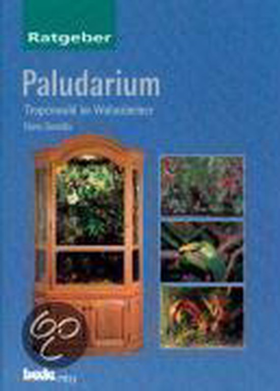 Ratgeber Paludarium