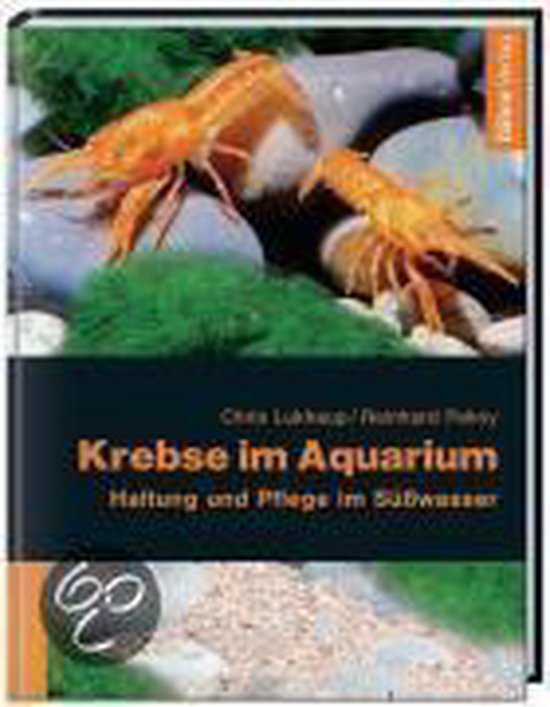 Krebse im Aquarium