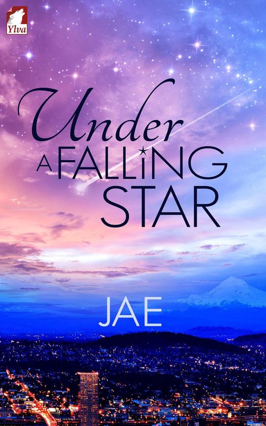 Unexpected Love series 1 - Under a Falling Star