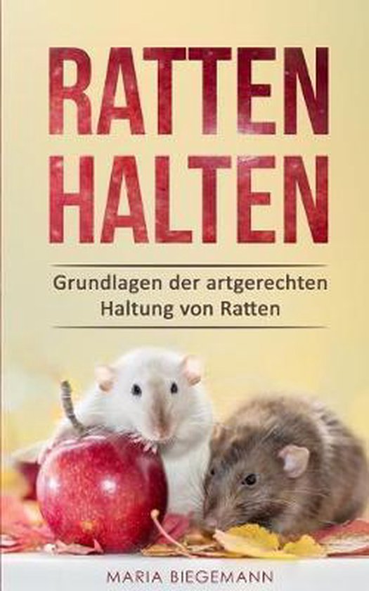 Ratten halten