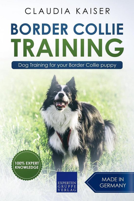 Border Collie Training 1 - Border Collie Training - Dog Training for your Border Collie puppy