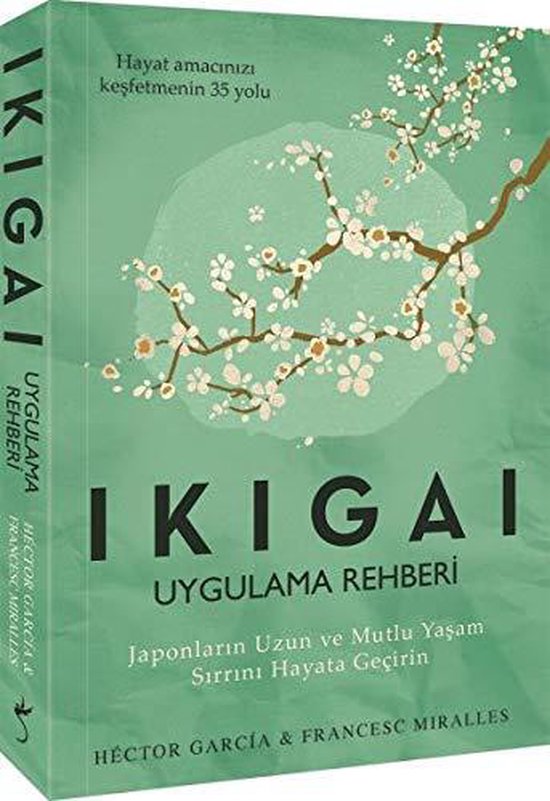 Ikigai - Uygulama Rehberi