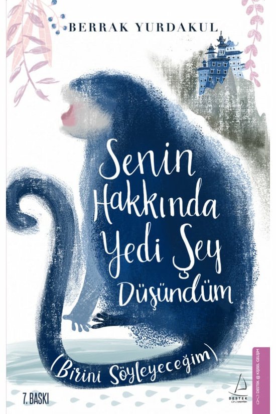 Senin Hakkında Yedi Şey Düşündüm