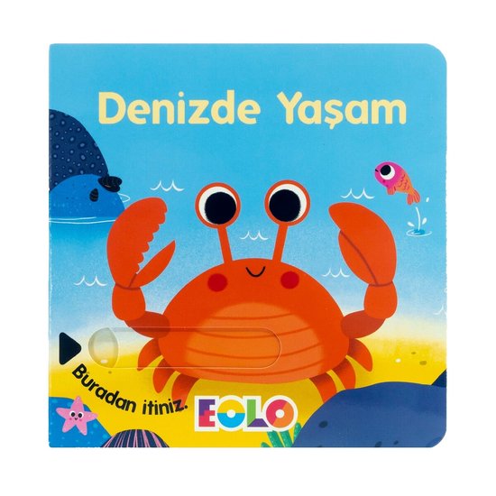 Denizde Yaşam - Turkse Kinderboeken