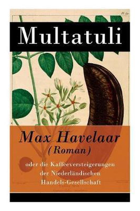 Max Havelaar (Roman)