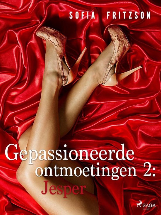 LUST - Gepassioneerde ontmoetingen 2: Jesper - erotisch verhaal