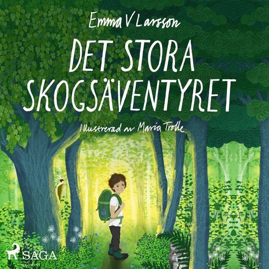 Det stora skogsäventyret