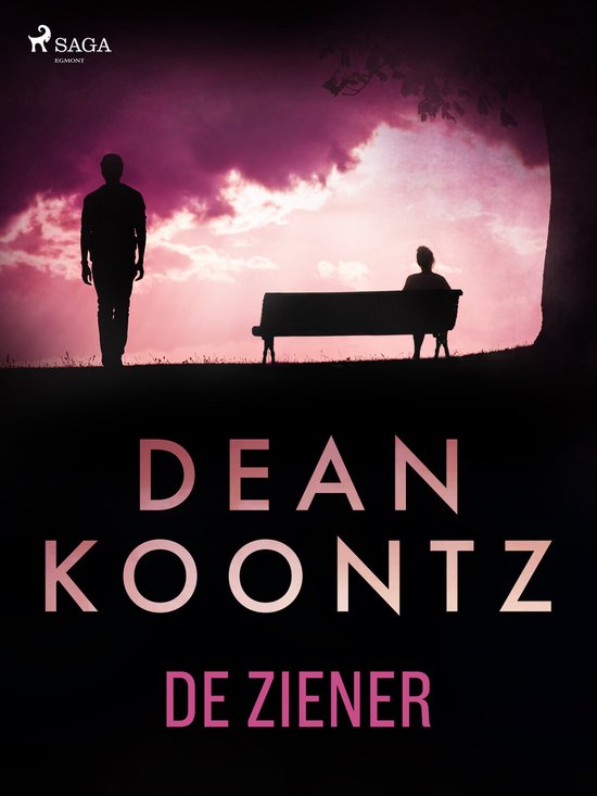 Odd Thomas 4 - De ziener