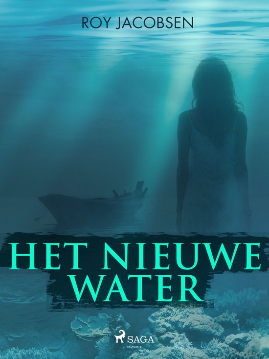 Het nieuwe water