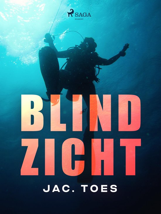 Blind zicht