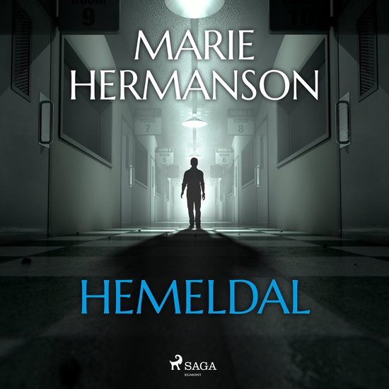 Hemeldal