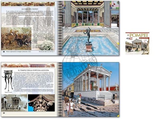 Pompeji gereconstrueerd (Boek met DVD)