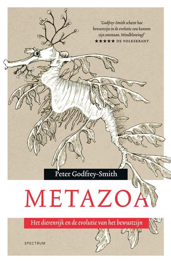 Metazoa