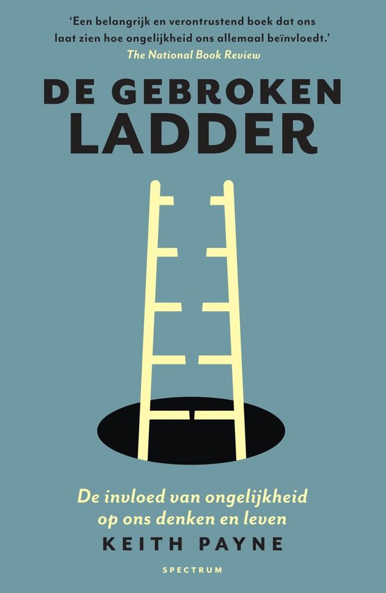 De gebroken ladder