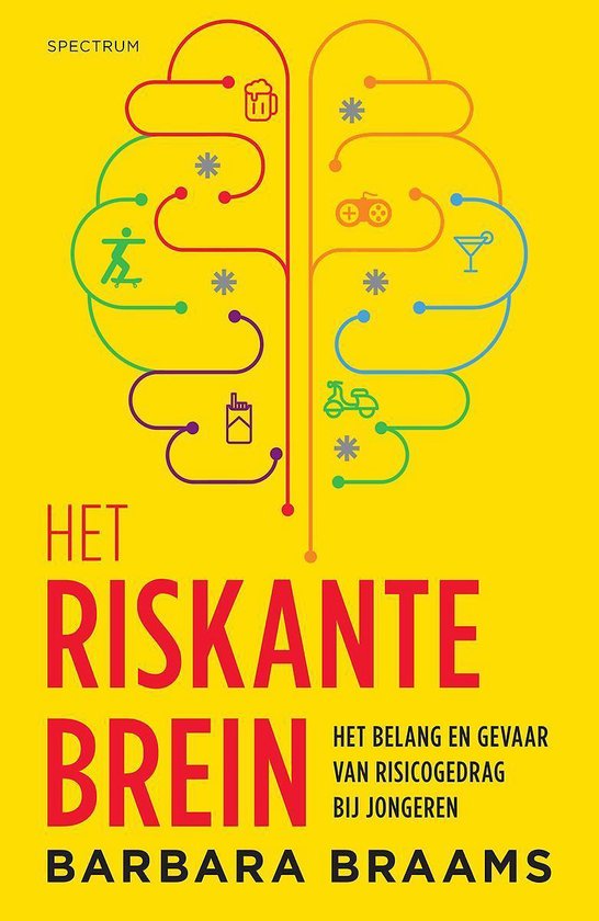 Het riskante brein