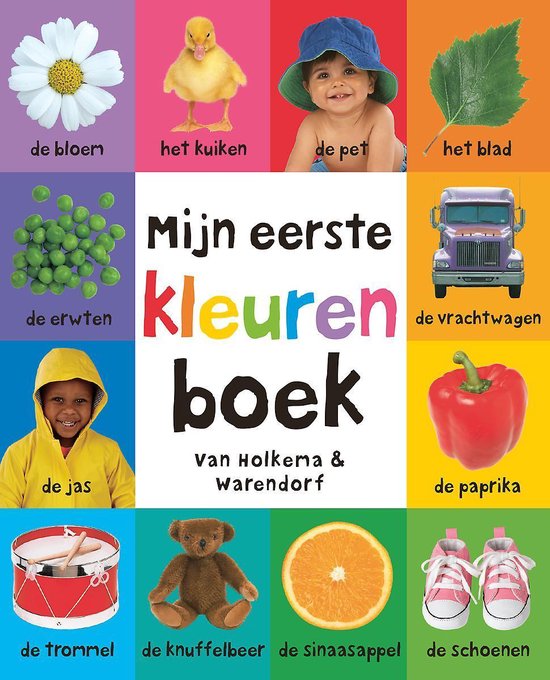 Mijn eerste 100 - Mijn eerste kleuren boek