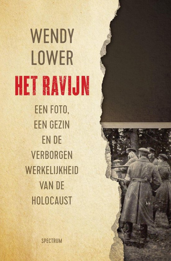 Het ravijn