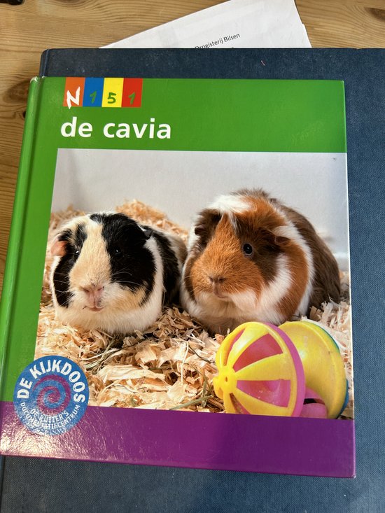 De cavia