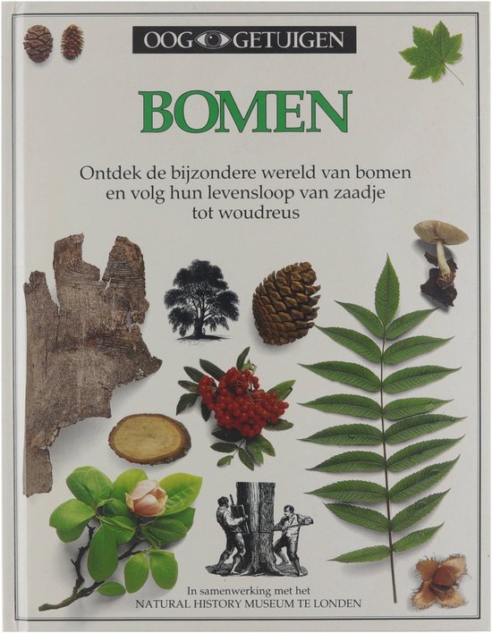 Ooggetuigen Bomen