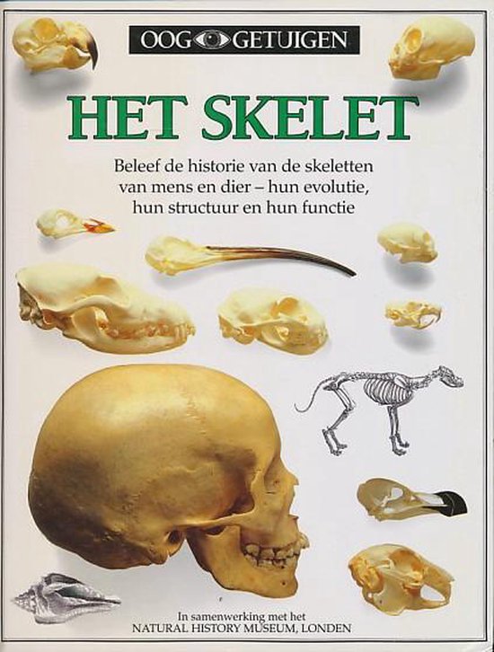 Ooggetuigen Skelet