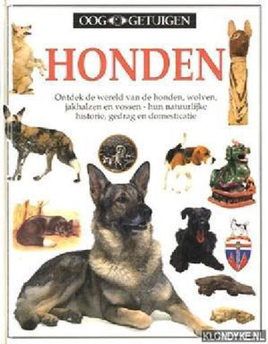 Honden - Ooggetuigen