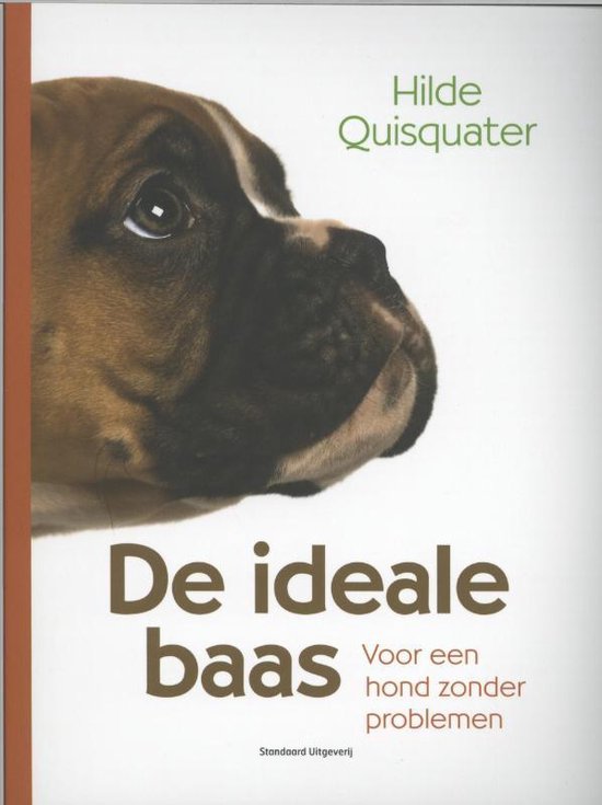 De Ideale Baas