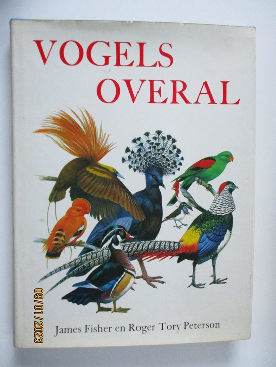 Vogels overal
