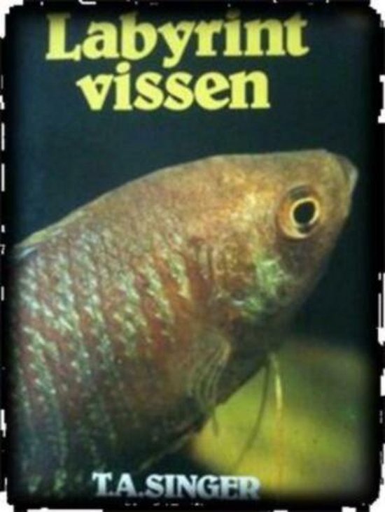 Labyrintvissen in het aquarium