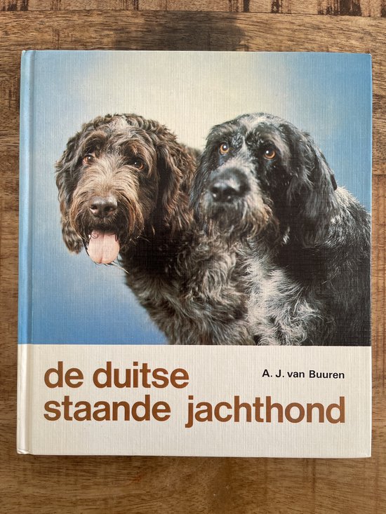 Duitse staande jachthond