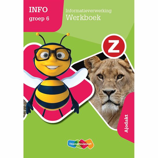 Informatieverwerking groep 6 Werkboek