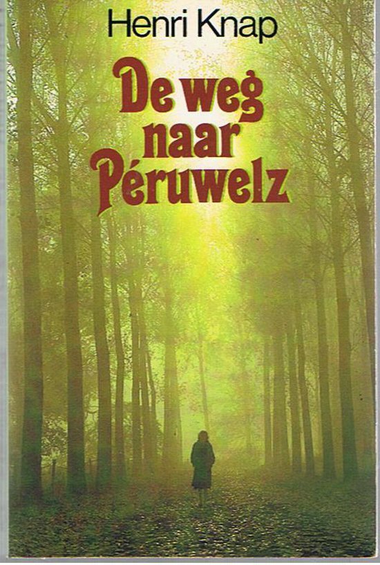 Weg naar peruwelz