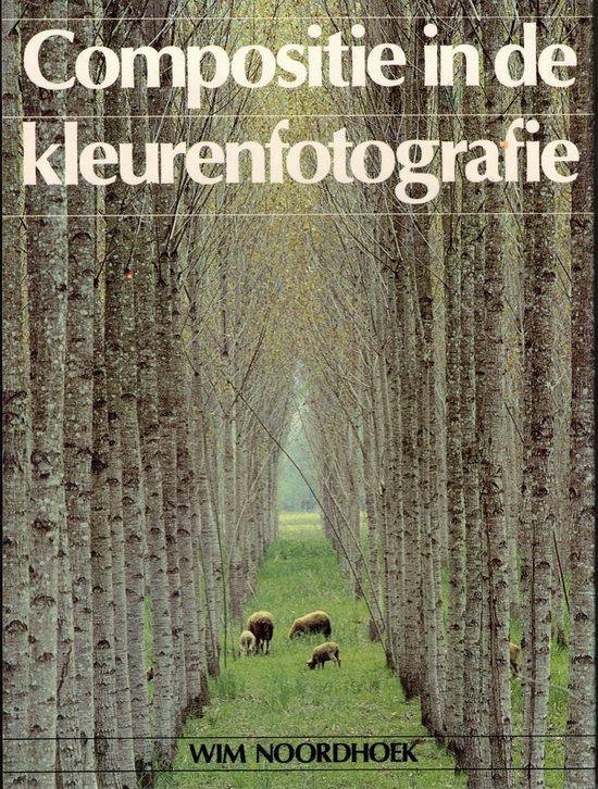 Compositie in de kleurenfotografie