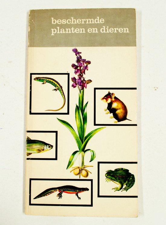 Beschermde planten en dieren