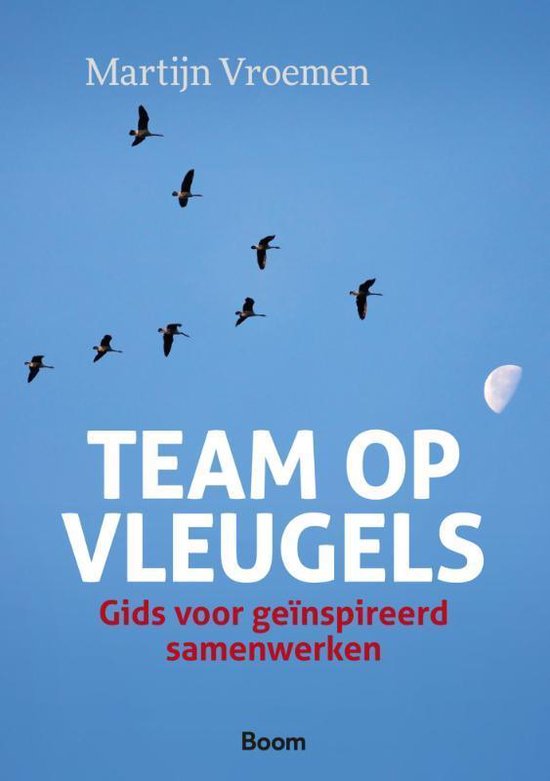 Team op vleugels