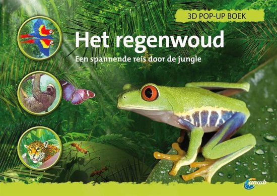 Het regenwoud