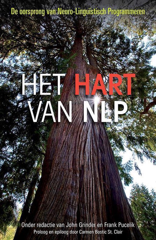 Het hart van NLP