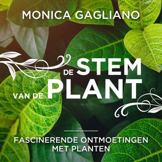 De stem van de plant