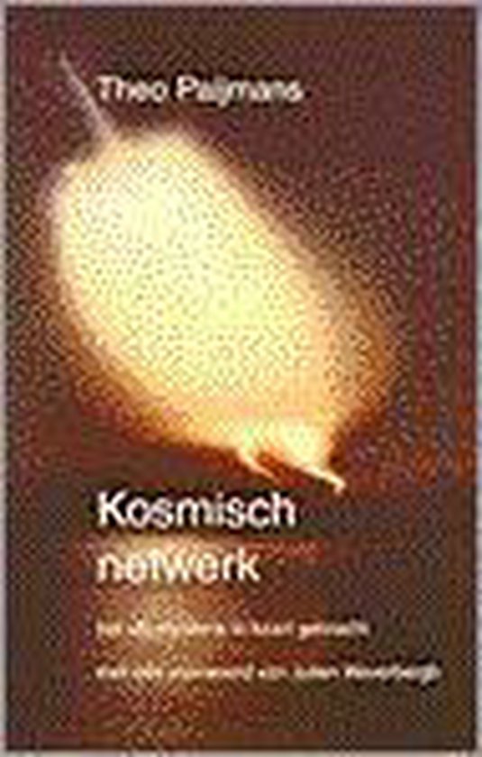 Kosmisch netwerk