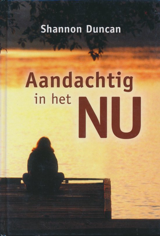 Aandachtig In Het Nu