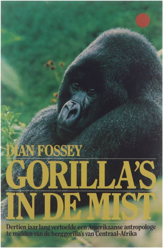 Gorilla's in de mist