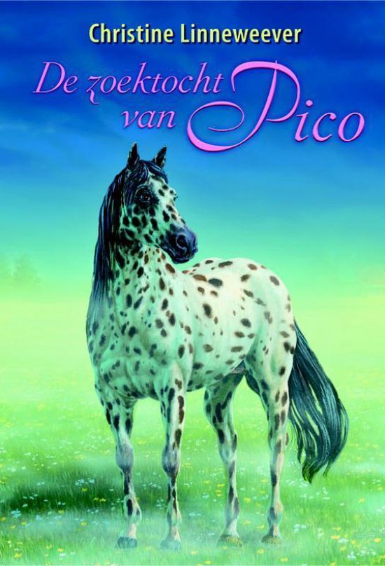 Gouden paarden - De zoektocht van Pico